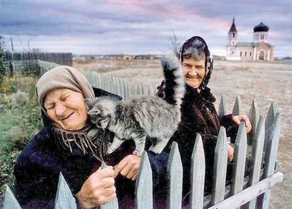Невыдуманные истории