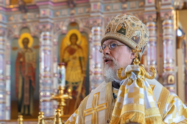 Сила единства