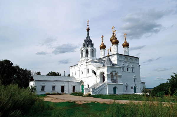 Белый лебедь Исад