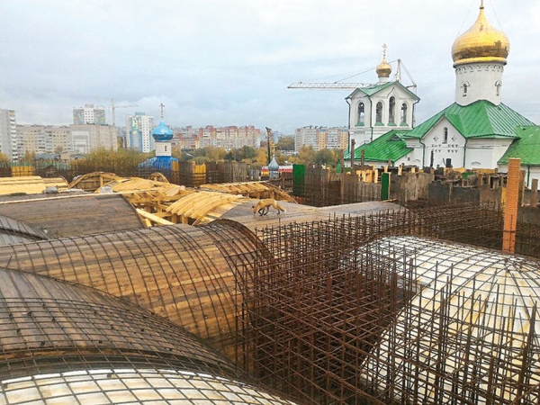 Наш опрос: итоги года