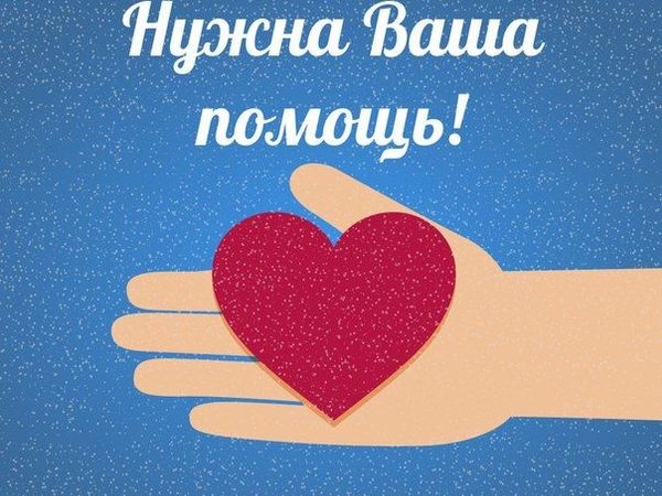 Нужна помощь